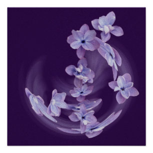 Poster Lilac en cercle