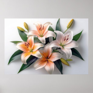 Poster Lily Flowers