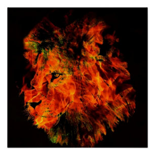 Poster Lion