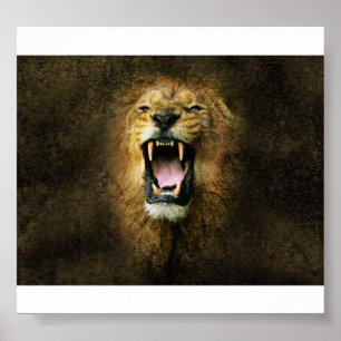 Poster Lion