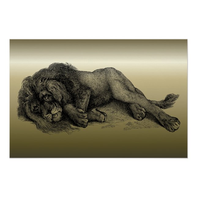 Poster Lion en mode vectoriel (Devant)