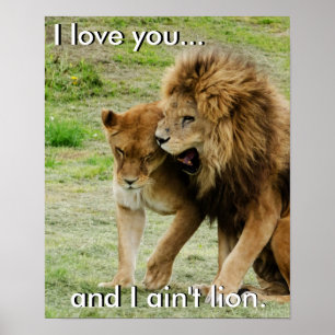 Poster Lion et Lioness