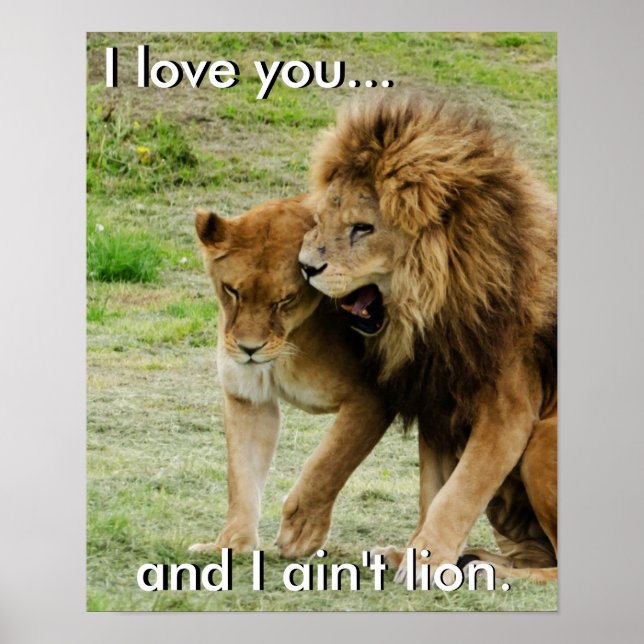 Poster Lion et Lioness (Devant)