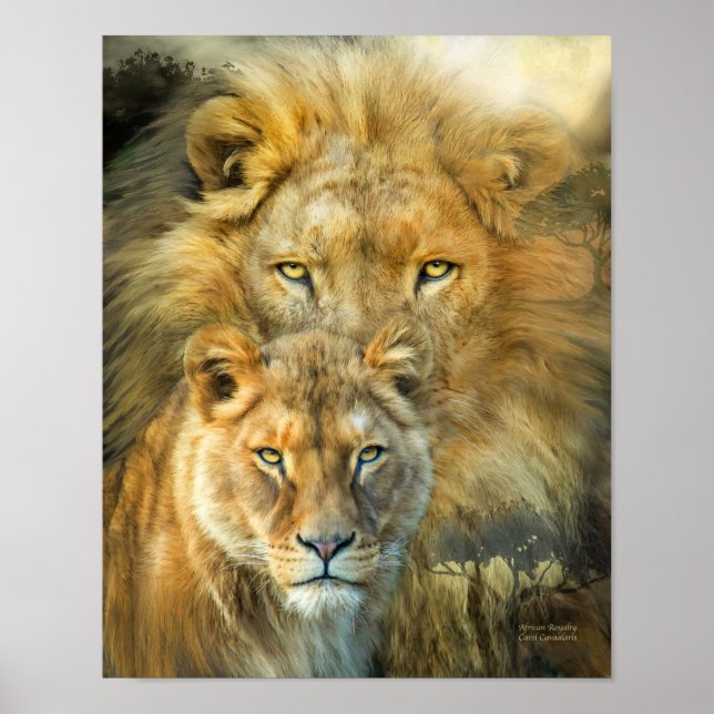 Poster Lion Et Lionesse Pourcentage Africaine Poster/Impr (Devant)