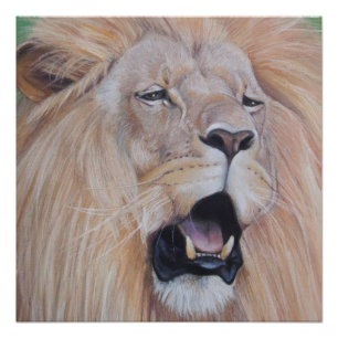Poster lion rugissant gros chat faune art réaliste