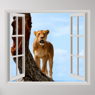 Poster Lioness