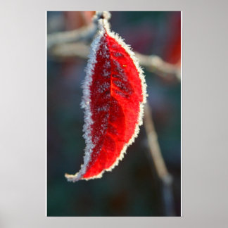 Poster Liquide cristallin Frost couvert Feuilles rouges