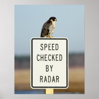 Poster L'Ironie ultime