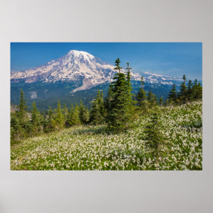 Poster Lis de l'avalanche et Mont Rainier