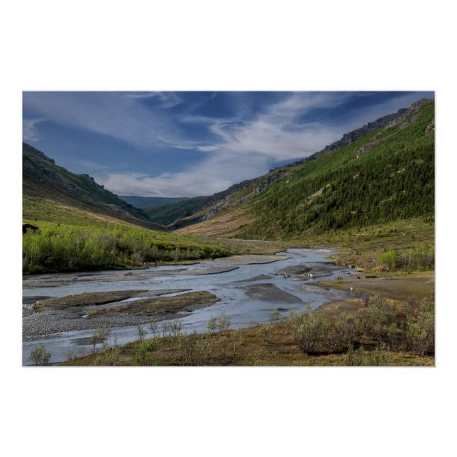 Poster Lit de la rivière Nenana en Alaska (Devant)