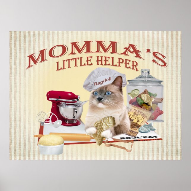 Poster "Lit Helper" de Ragdoll Momma (Devant)