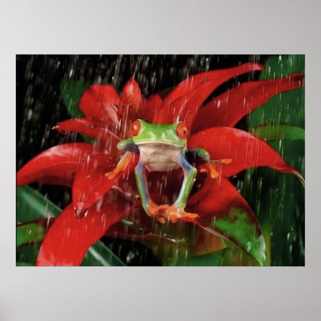 Poster Little_Rain_4 (Devant)