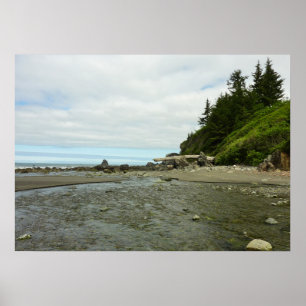 Poster Littoral de Californie du Nord depuis Redwood Park