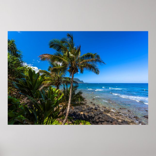 Poster Littoral tropical (Devant)