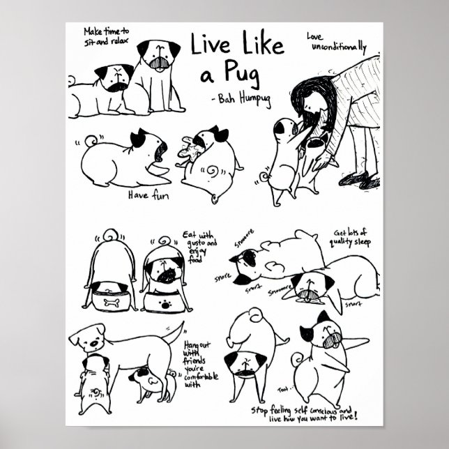 Poster Live Like A Pug! (Devant)