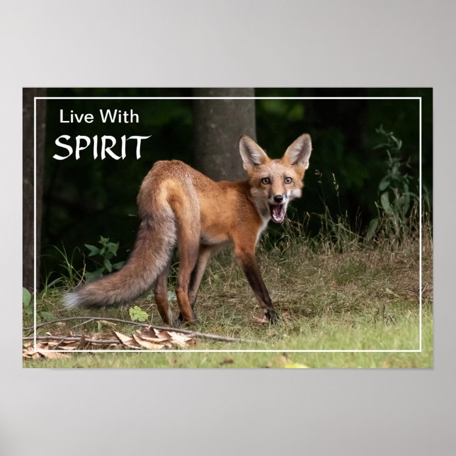 Poster Live With Spirit (Devant)