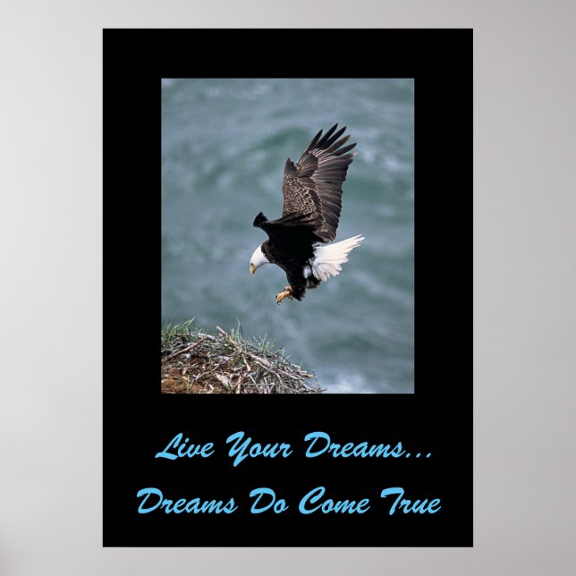 Poster Live Your Dreams (Devant)