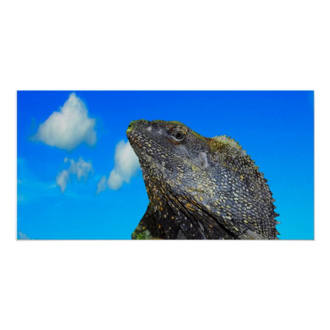 Poster Lizard à cou cassé (Devant)