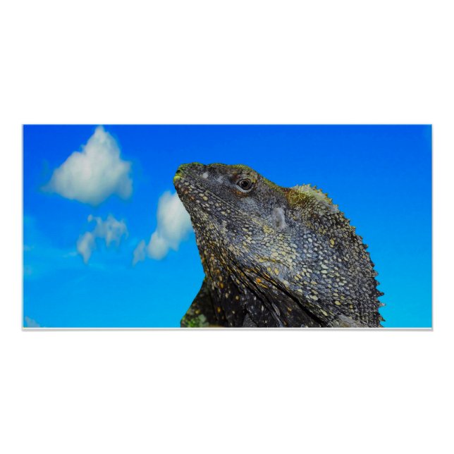 Poster Lizard à cou cassé (Devant)