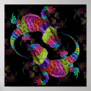 Poster Lizards arc-en-ciel
