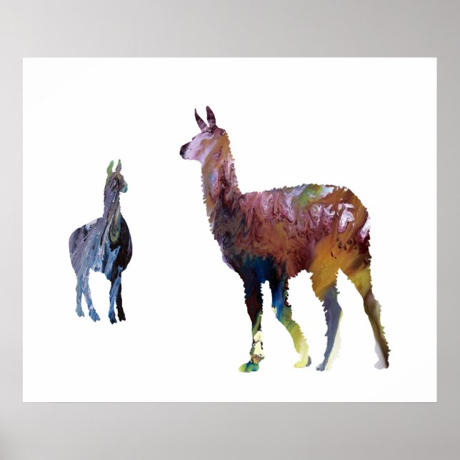 Poster Llamas (Devant)