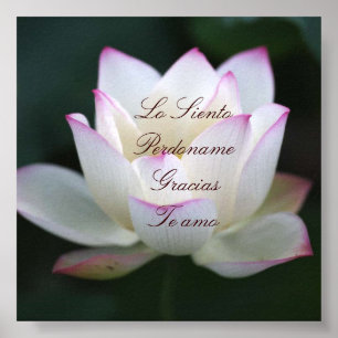 Poster Lo Siento, Perdoname, Gracias, AMO de Te