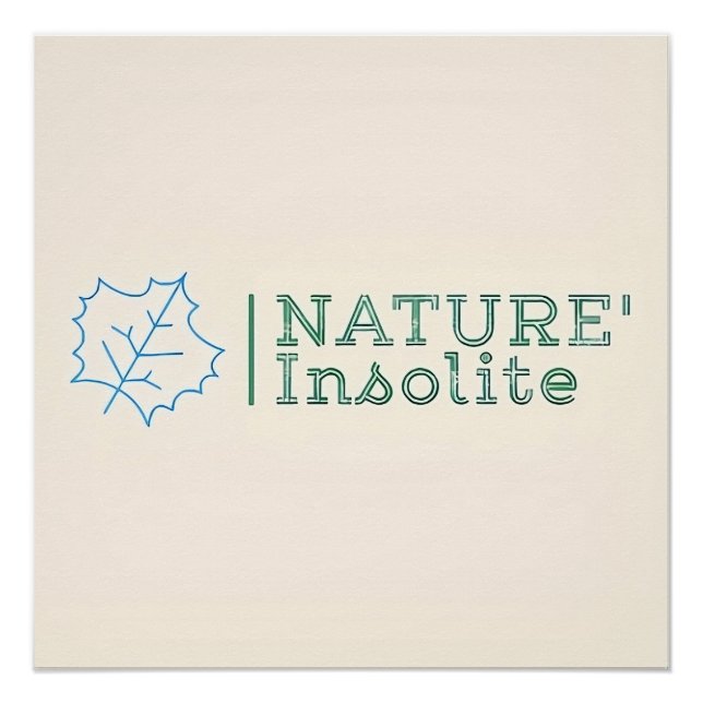 Poster : logo officiel de l'émission (Devant)