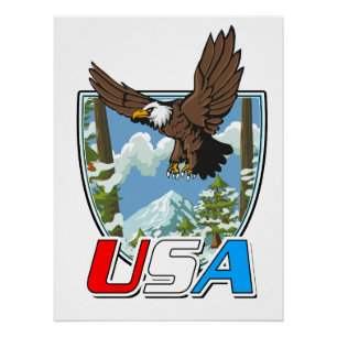 Poster Logo USA Patriot