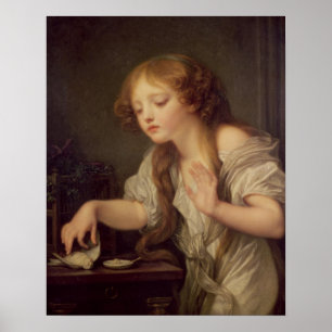 Poster L'oiseau mort