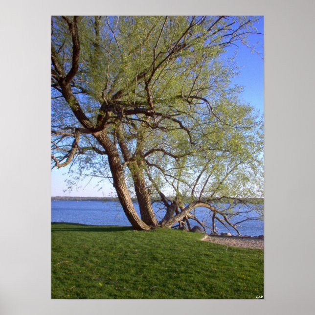 Poster Lonely (Devant)