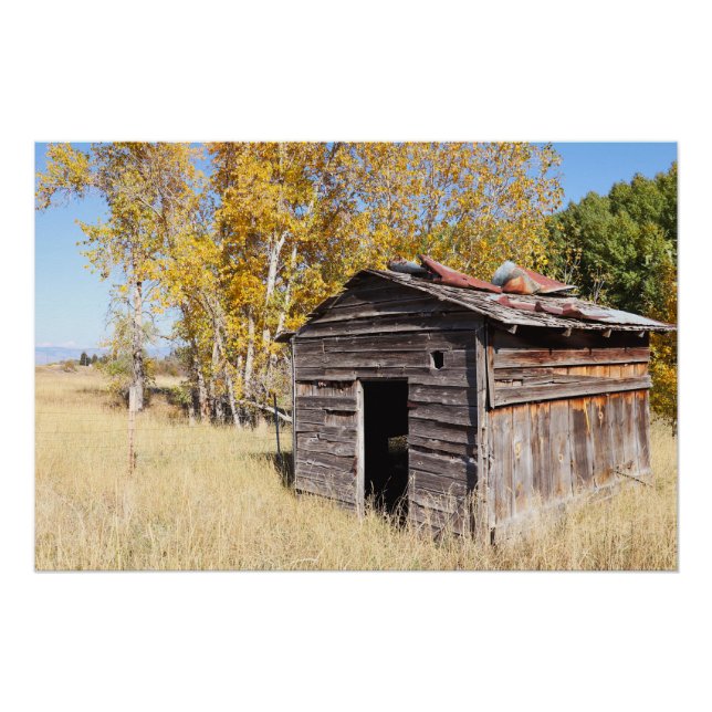 Poster Lonely Little Shed (Devant)