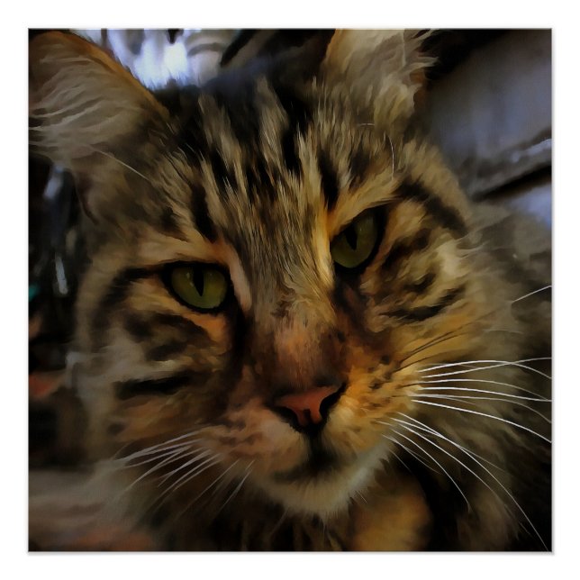 Poster Long Haired Tabby Chat Artistique Portrait d'anima (Devant)