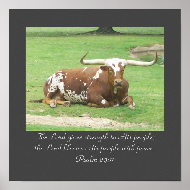 Poster Longhorn 11"x11" (Devant)