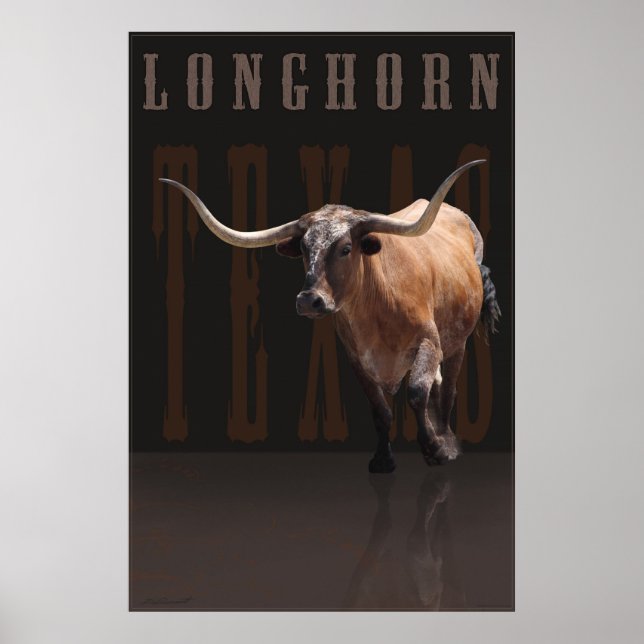 Poster Longhorn Power avec texte -40x60 - ou plus  (Devant)
