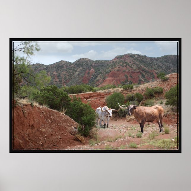 Poster Longhorn Ravine -60x40 (Devant)