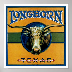 Poster Longhorn Texas