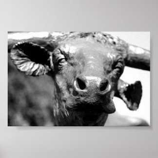 Poster Longhorn vers le haut