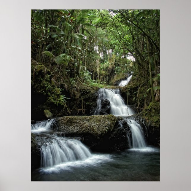 POSTER L'ONOMIE DE HAWAII TOMBE (Devant)