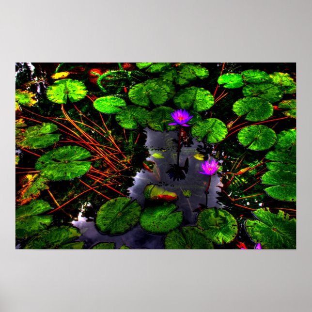 Poster Lotus 1 (Devant)