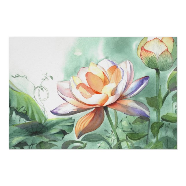 Poster Lotus Aquarelle (Devant)