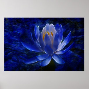 Poster Lotus flower and its meaning