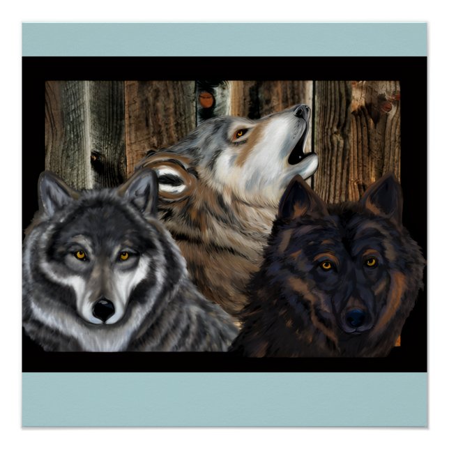 POSTER LOUP (Devant)