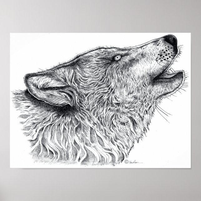 Poster Loup (Devant)