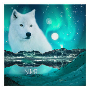 Poster Loup arctique la nuit avec aurores boréales