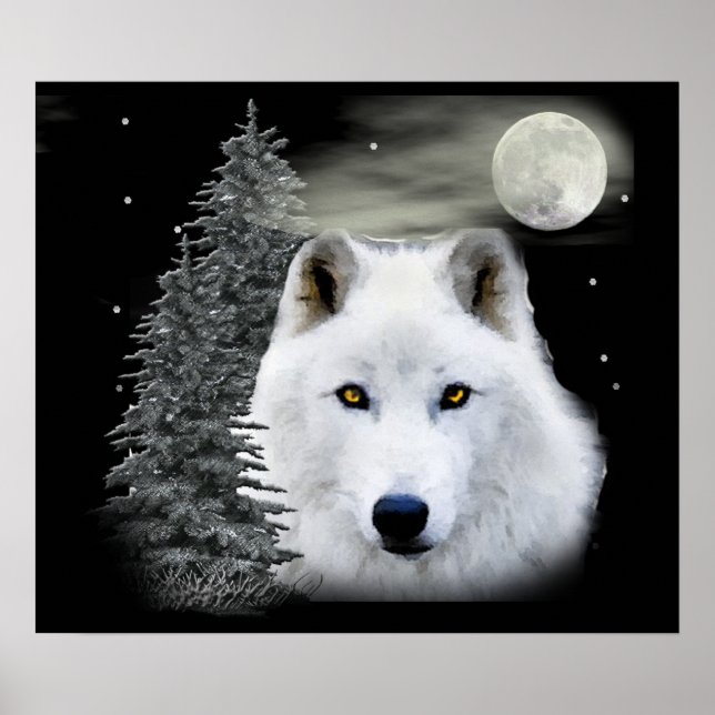 Poster loup des neiges arctique (Devant)