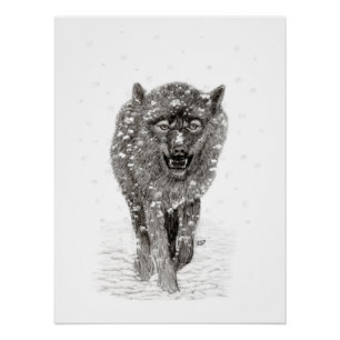 Poster Loup noir en colère dans la neige, hiver sauvage