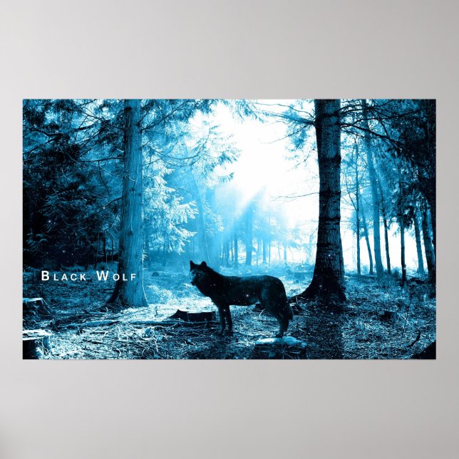 Poster Loup noir seul dans la forêt (Devant)