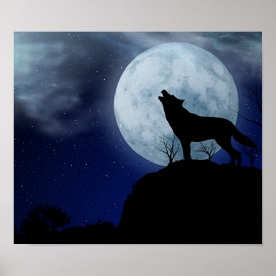 Poster Loup Pleine Lune Zazzlefr