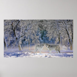 Poster Loups De Yellowstone