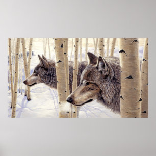 Poster Loups gris en peinture sur neige -